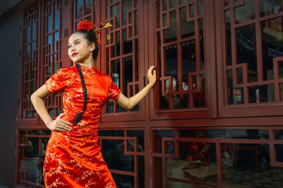 Cultural History Of Chinese Aesthetics